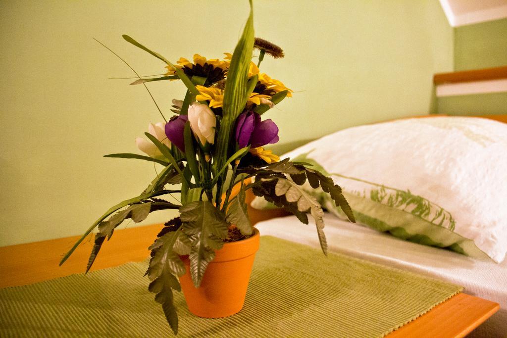 Guesthouse Jug Blato 외부 사진